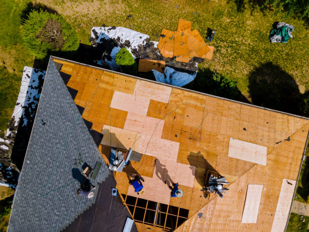 Quick and Trustworthy Emergency Roof Repair Services in Mexia, TX