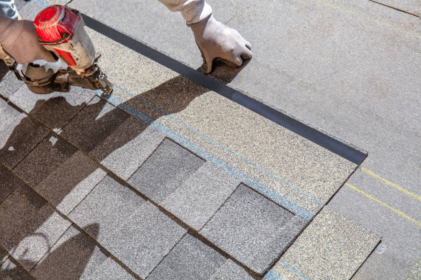 Best Roof Maintenance Services  in Mexia, TX